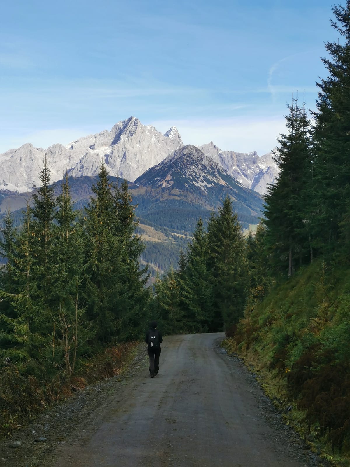 A person walking in Austrian mountains